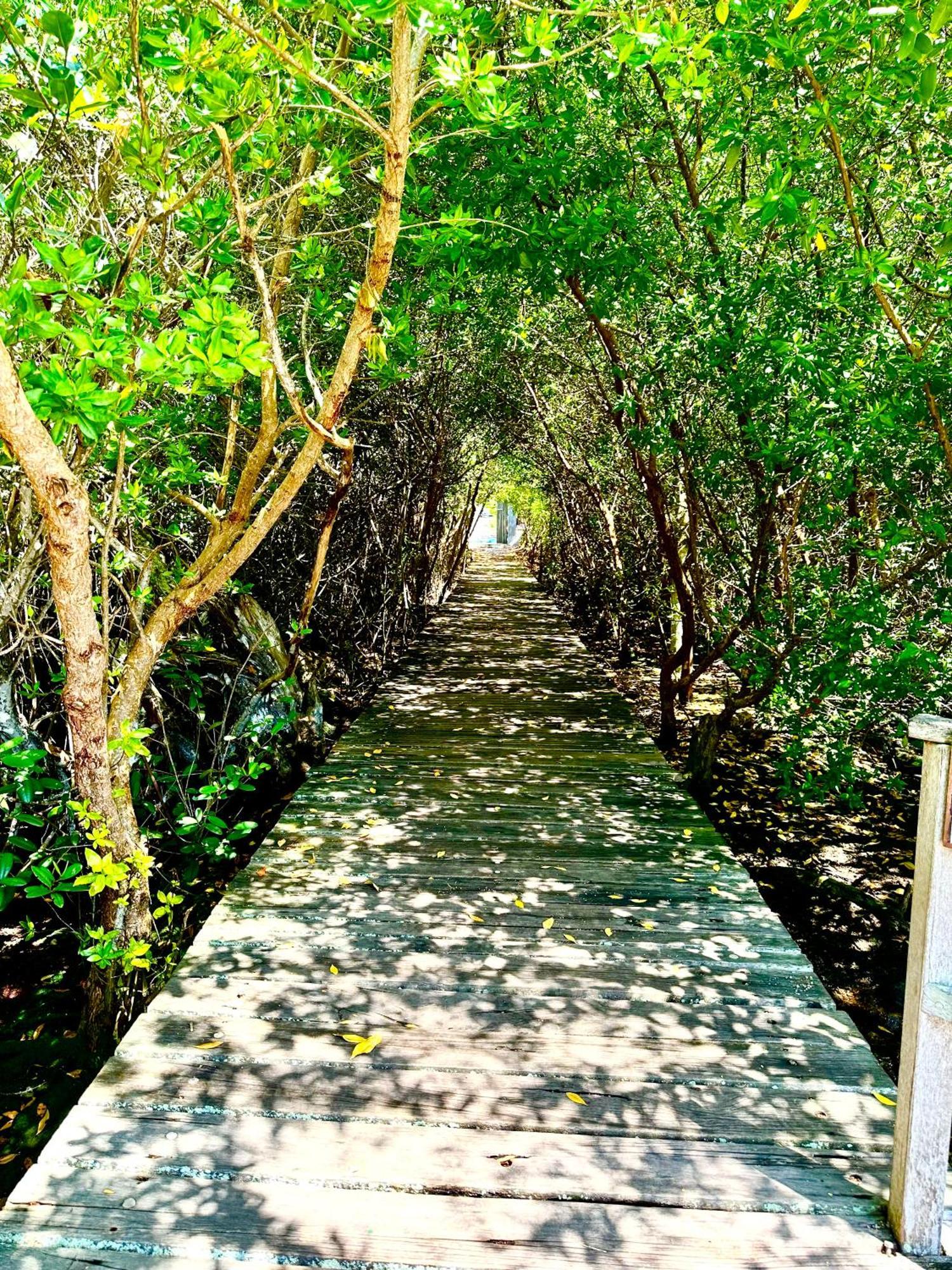 Casa Del Lago Lodging House Puerto Ayora  Dış mekan fotoğraf
