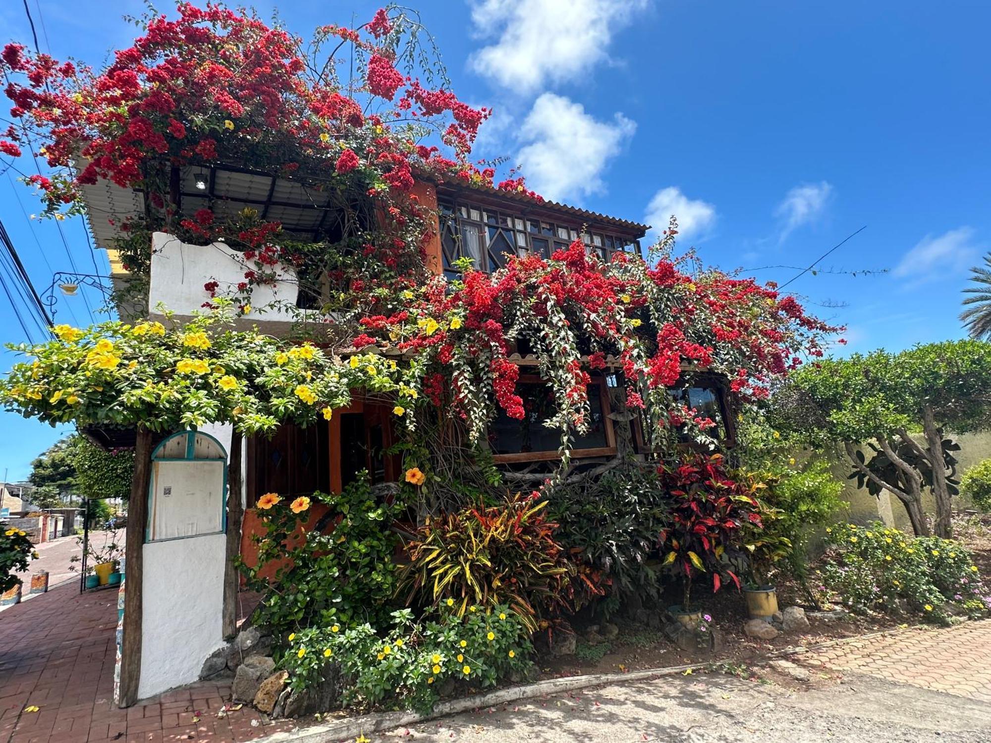 Casa Del Lago Lodging House Puerto Ayora  Dış mekan fotoğraf